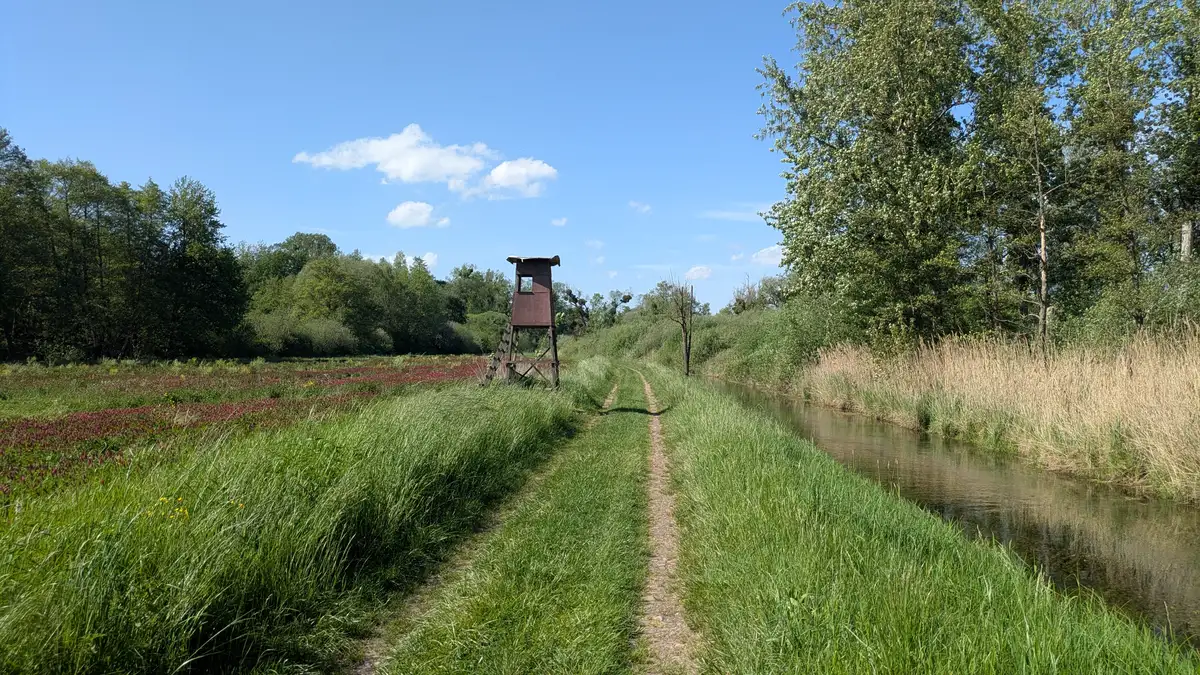 Heimat-Experiment
